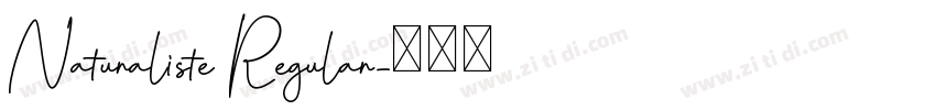Naturaliste Regular字体转换